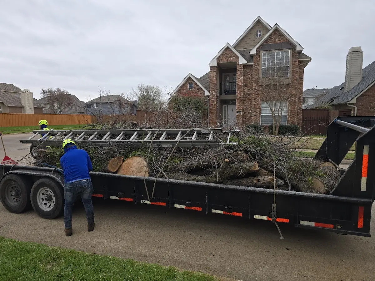Expert Lot Clearing with proper safety equipment in Hales Corners